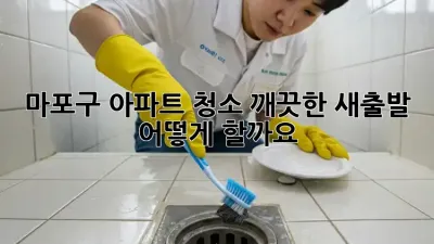 마포구 아파트 청소: 깨끗한 새출발, 어떻게 할까요?