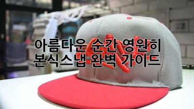 아름다운 순간, 영원히: 본식스냅 완벽 가이드